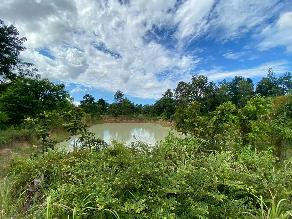 ขายที่ดินขอนแก่น : ขายที่ดิน เมืองพล จังหวัดขอนแก่น