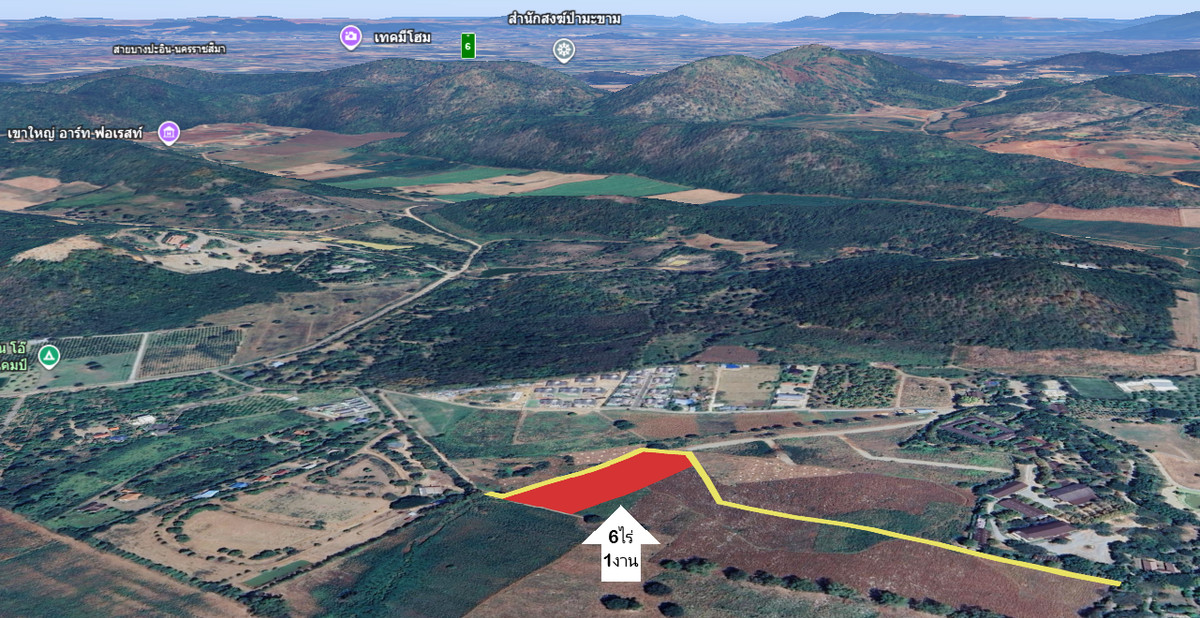 ขายที่ดินปากช่อง เขาใหญ่ : ที่ดินเขาใหญ่ แปลงสวย ราคาดี