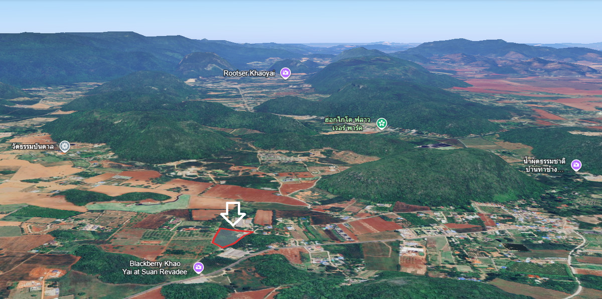 ขายที่ดินปากช่อง เขาใหญ่ : ที่ดินเขาใหญ่  10ไร่  วิวสวย ราคาดี