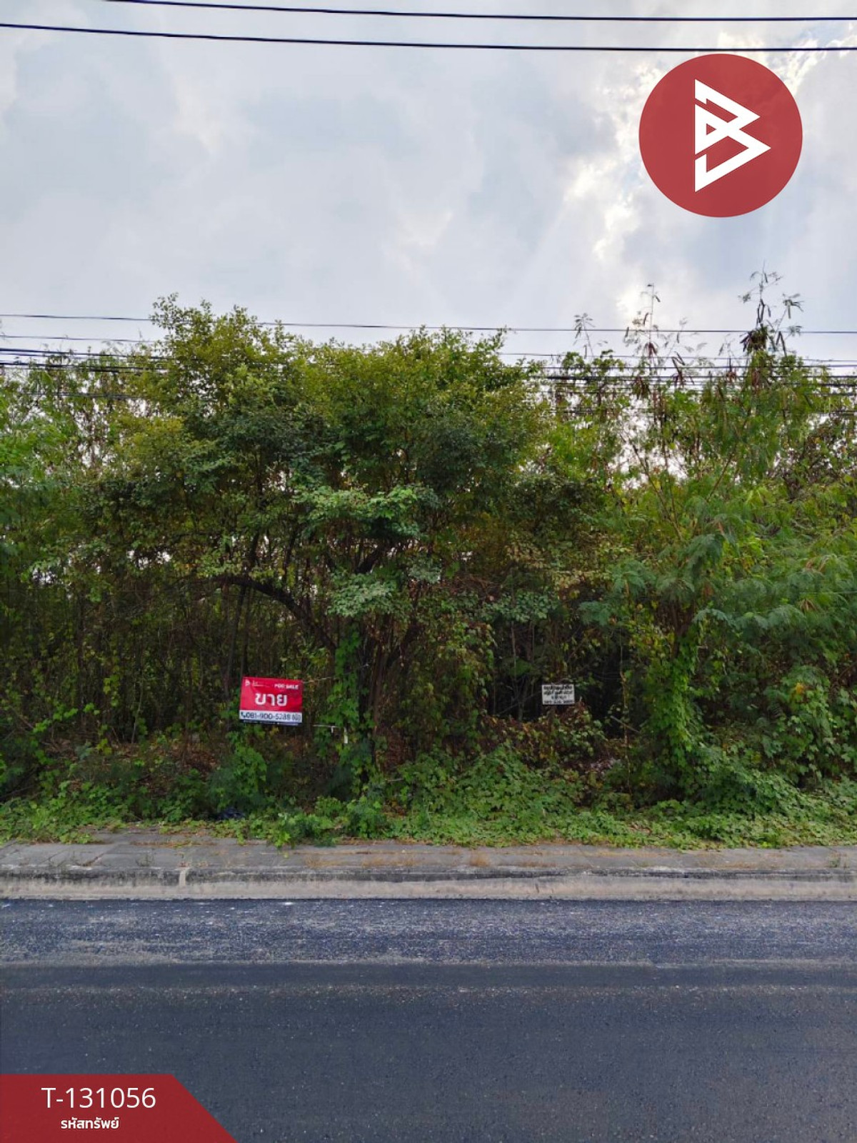 ขายที่ดินลาดกระบัง สุวรรณภูมิ : ขายที่ดินแบ่งขาย เนื้อที่เริ่มต้น 38 ตร.วา ลาดกระบัง กรุงเทพมหานคร