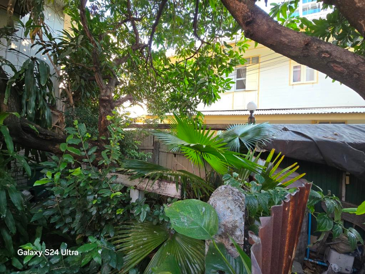 ขายบ้านสีลม ศาลาแดง บางรัก : ขายบ้านในซ.สุขสันต์ ถ.สุรวงศ์หรือถ.ทรัพย์ 2 หลัง 75 ตรว. ในคอมพลาวด์