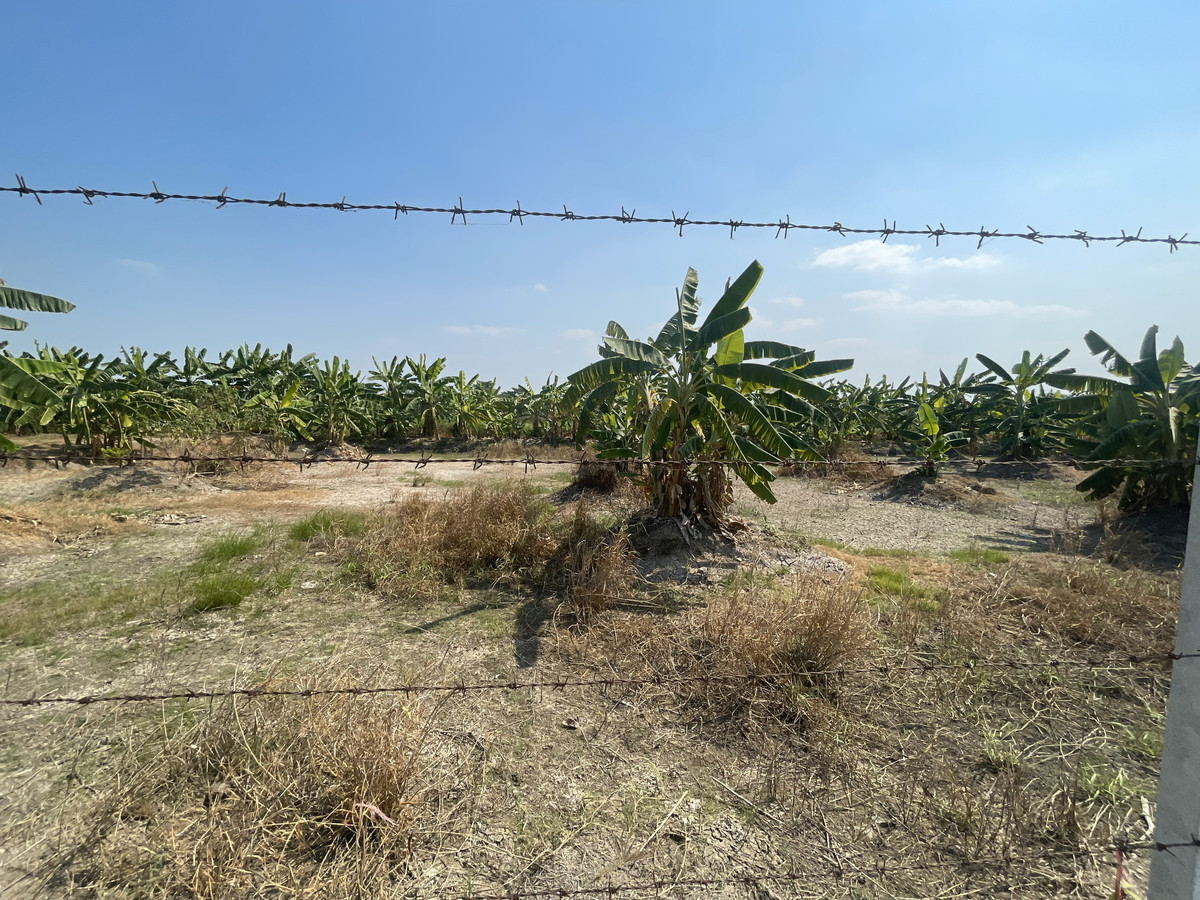 ขายที่ดินนนทบุรี บางใหญ่ บางบัวทอง : ขายที่ดินบางกรวย–ไทรน้อย 418 ตารางวา ซอยสิริฉัตร ถมแล้ว ราคาถูก