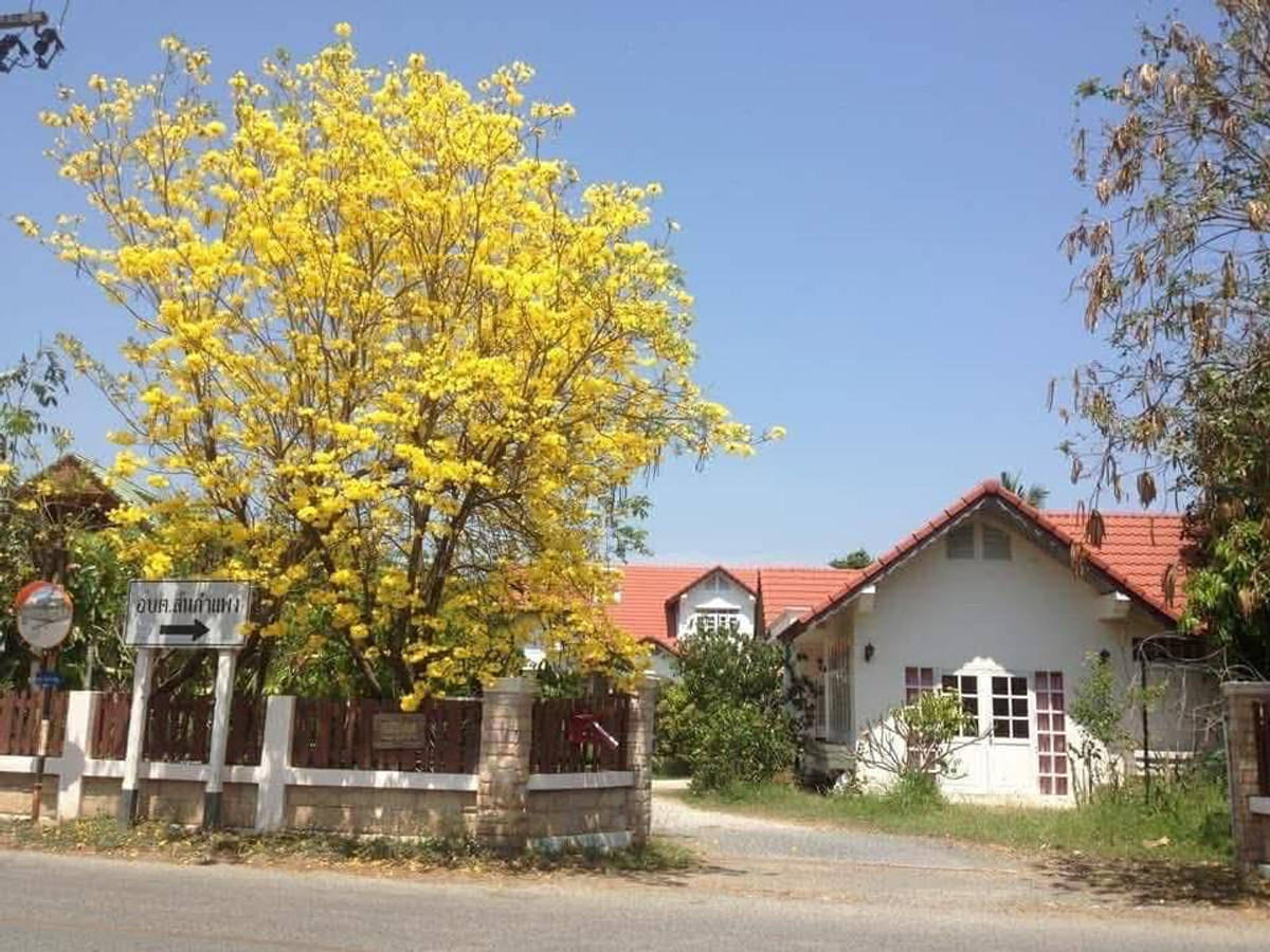 For SaleLandChiang Mai : Special price!! Land in a prime location, 2,119 rai, San Kamphaeng District, Chiang Mai Province, high potential, many plots to choose from, many sizes.