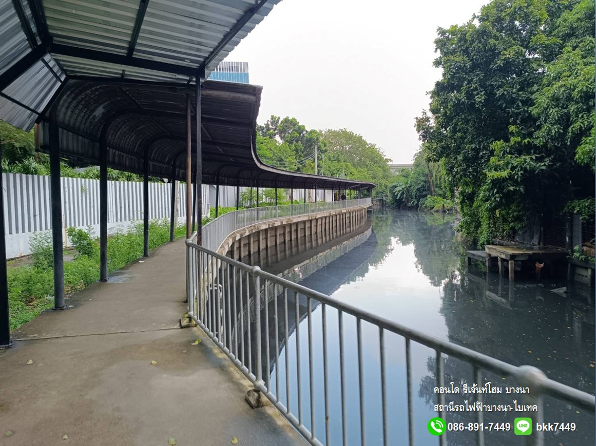 For RentCondoBangna, Bearing, Lasalle : ✅✅ Room for rent Regent Home Bangna Condo, Building A, 25th Floor, looking for the first tenant of the room - ready to move in 31.01.2026