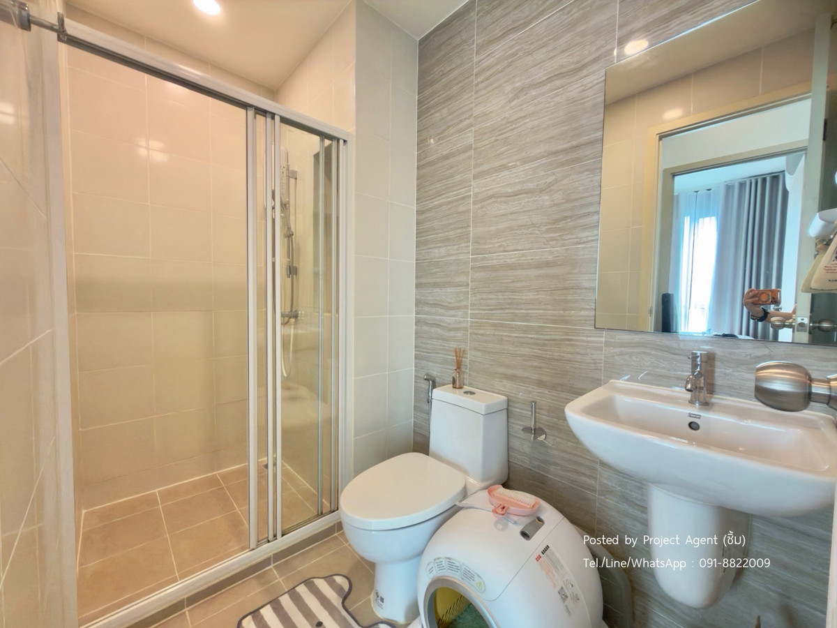 For SaleCondoBangna, Bearing, Lasalle : 🔥𝗙𝗼𝗿 𝗦𝗮𝗹𝗲🐈🐩𝗕𝗥𝗢𝗠𝗣𝗧𝗢𝗡 𝗣𝗲𝘁 𝗙𝗿𝗶𝗲𝗻𝗱𝗹𝘆 𝗦𝘂𝗸𝗵𝘂𝗺𝘃𝗶𝘁 𝟭𝟬𝟳🐶