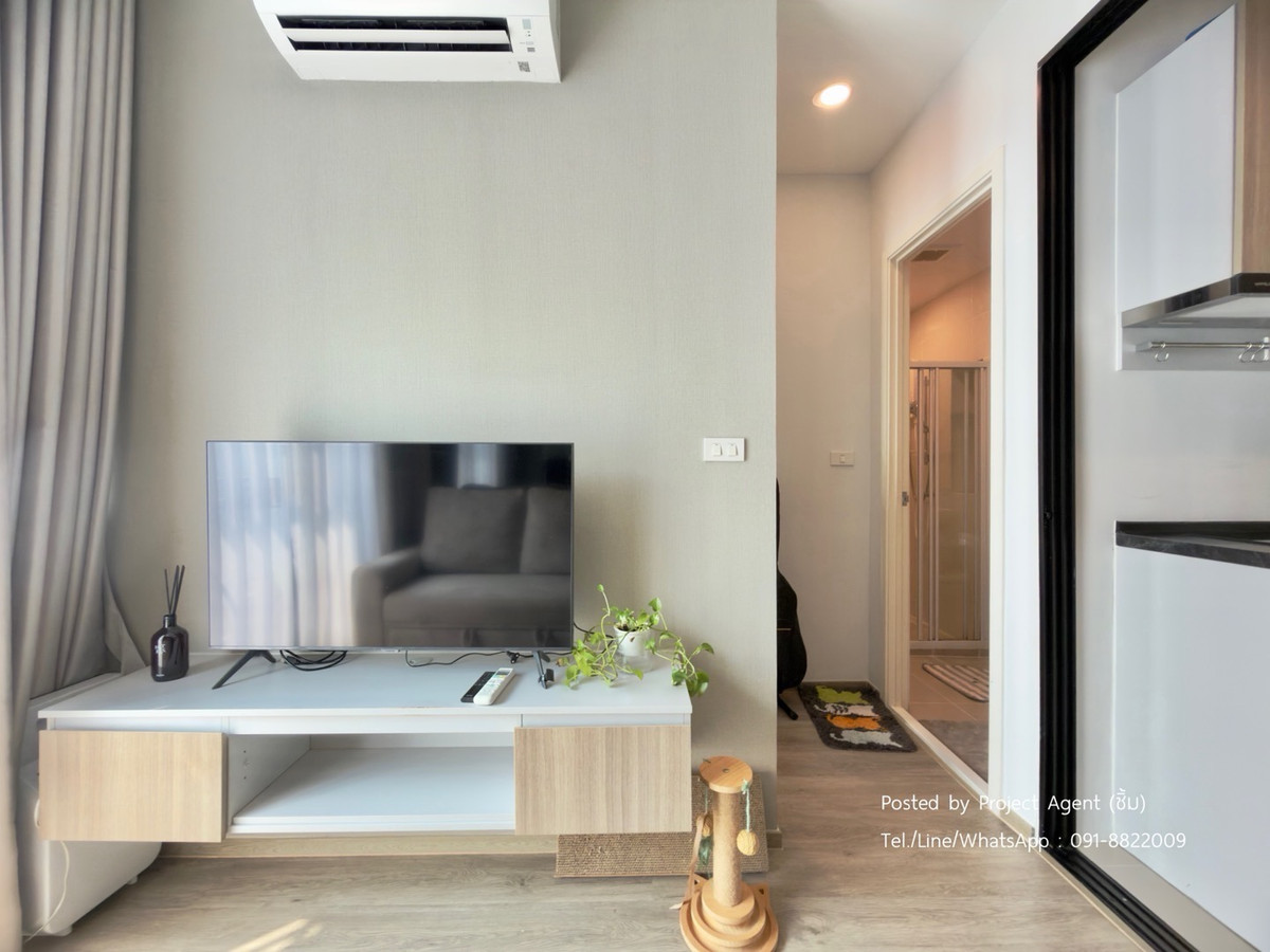 For SaleCondoBangna, Bearing, Lasalle : 🔥𝗙𝗼𝗿 𝗦𝗮𝗹𝗲🐈🐩𝗕𝗥𝗢𝗠𝗣𝗧𝗢𝗡 𝗣𝗲𝘁 𝗙𝗿𝗶𝗲𝗻𝗱𝗹𝘆 𝗦𝘂𝗸𝗵𝘂𝗺𝘃𝗶𝘁 𝟭𝟬𝟳🐶