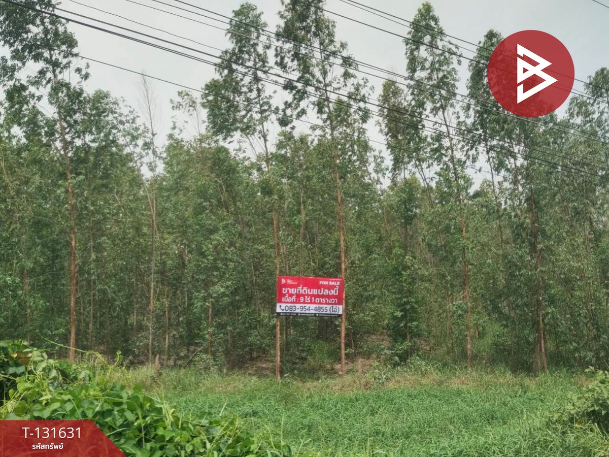 For SaleLandNakhon Sawan : Land for sale, area 9 rai 1 sq m, Lat Yao, Nakhon Sawan