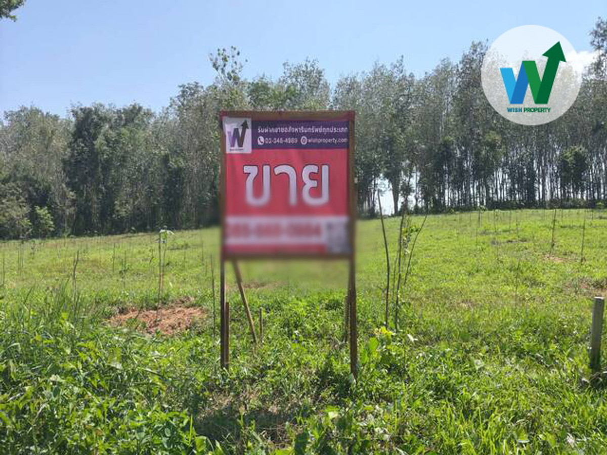 For SaleLandPhatthalung : Beautiful plot of land for sale with jackfruit planted together with various economic varieties.  Near Talay Noi Market