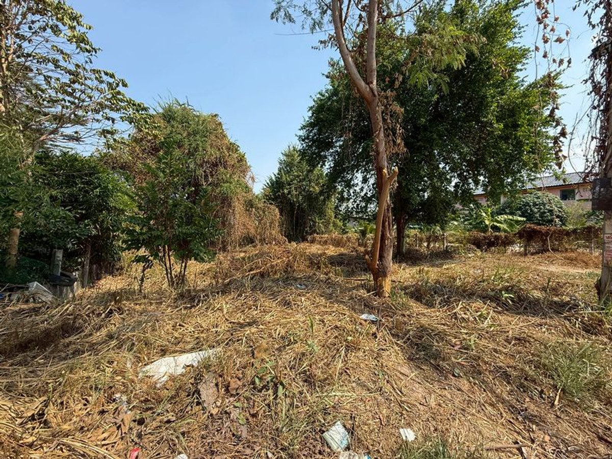 ให้เช่าที่ดินศรีราชา แหลมฉบัง บ้านบึง : ขายที่ดินศรีราชา ซอยลัดดาเฮ้าส์ ถมแล้ว ราคาดี ทรงสี่เหลี่ยม ติดถนนคอนกรีต