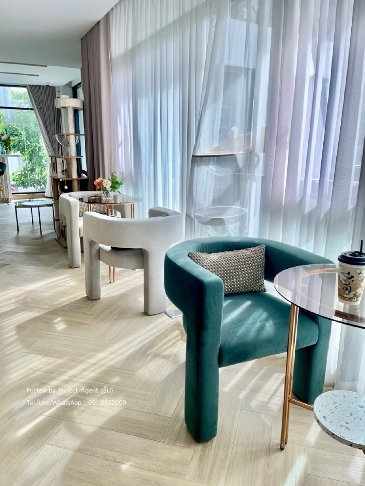 For SaleCondoBangna, Bearing, Lasalle : 🔥𝗙𝗼𝗿 𝗦𝗮𝗹𝗲🐈🐩𝗕𝗥𝗢𝗠𝗣𝗧𝗢𝗡 𝗣𝗲𝘁 𝗙𝗿𝗶𝗲𝗻𝗱𝗹𝘆 𝗦𝘂𝗸𝗵𝘂𝗺𝘃𝗶𝘁 𝟭𝟬𝟳🐶