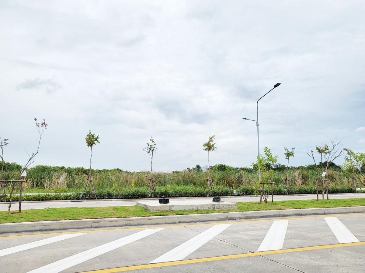 ขายที่ดินวิภาวดี ดอนเมือง หลักสี่ : ขายที่ดิน ขายต่ำกว่าราคาตลาด!!! 24-2-60 ไร่ ถนนเทพรักษ์ ดอนเมือง หน้ากว้างติดถนน 547 เมตร