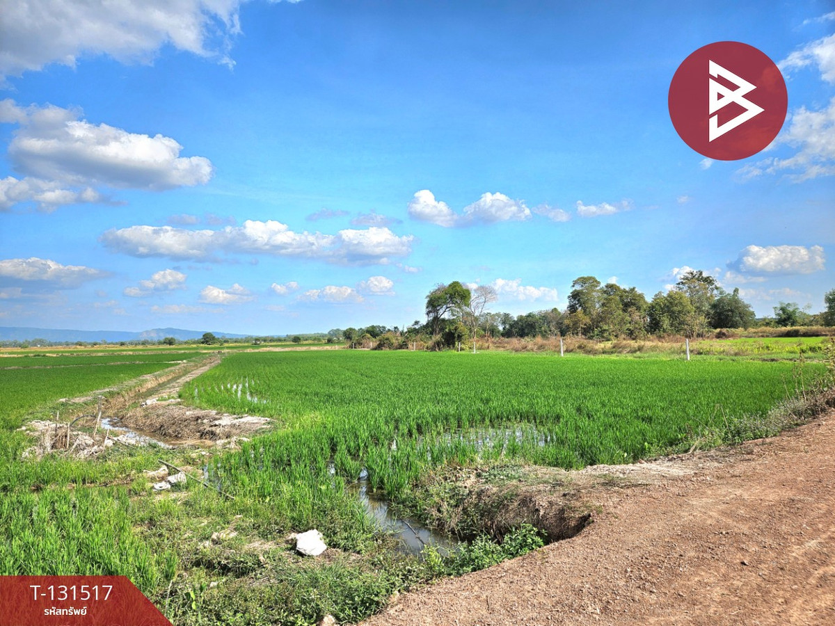 ขายที่ดินนครนายก : ขายที่ดิน เนื้อที่ 2 ไร่ 90 ตร.วา ปากพลี นครนายก