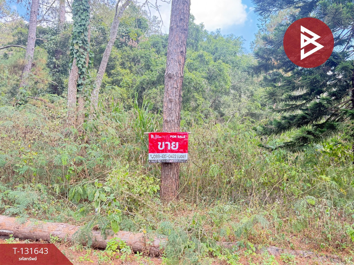 For SaleLandChiang Mai : Land for sale, area 1 ngan 32 sq m, Mae Rim, Chiang Mai.