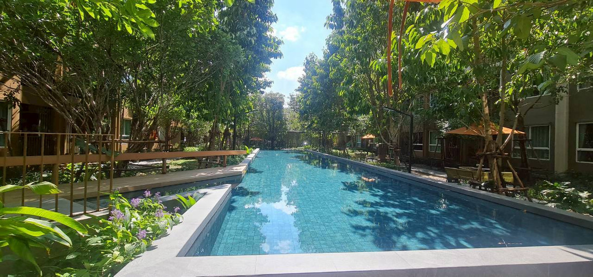 ขายคอนโดปิ่นเกล้า จรัญสนิทวงศ์ : คอนโด 26.81 ตรม. ดีคอนโดพนา อาคาร B ซอย จรัญสนิทวงศ์ 35 ถ.จรัญสนิทวงศ์ แขวงบางขุนศรี เขตบางกอกน้อย กทม.