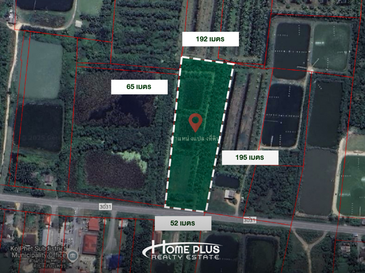 For SaleLandNakhon Si Thammarat : Land with coconut plantation, Ko Phet Subdistrict, Hua Sai District.