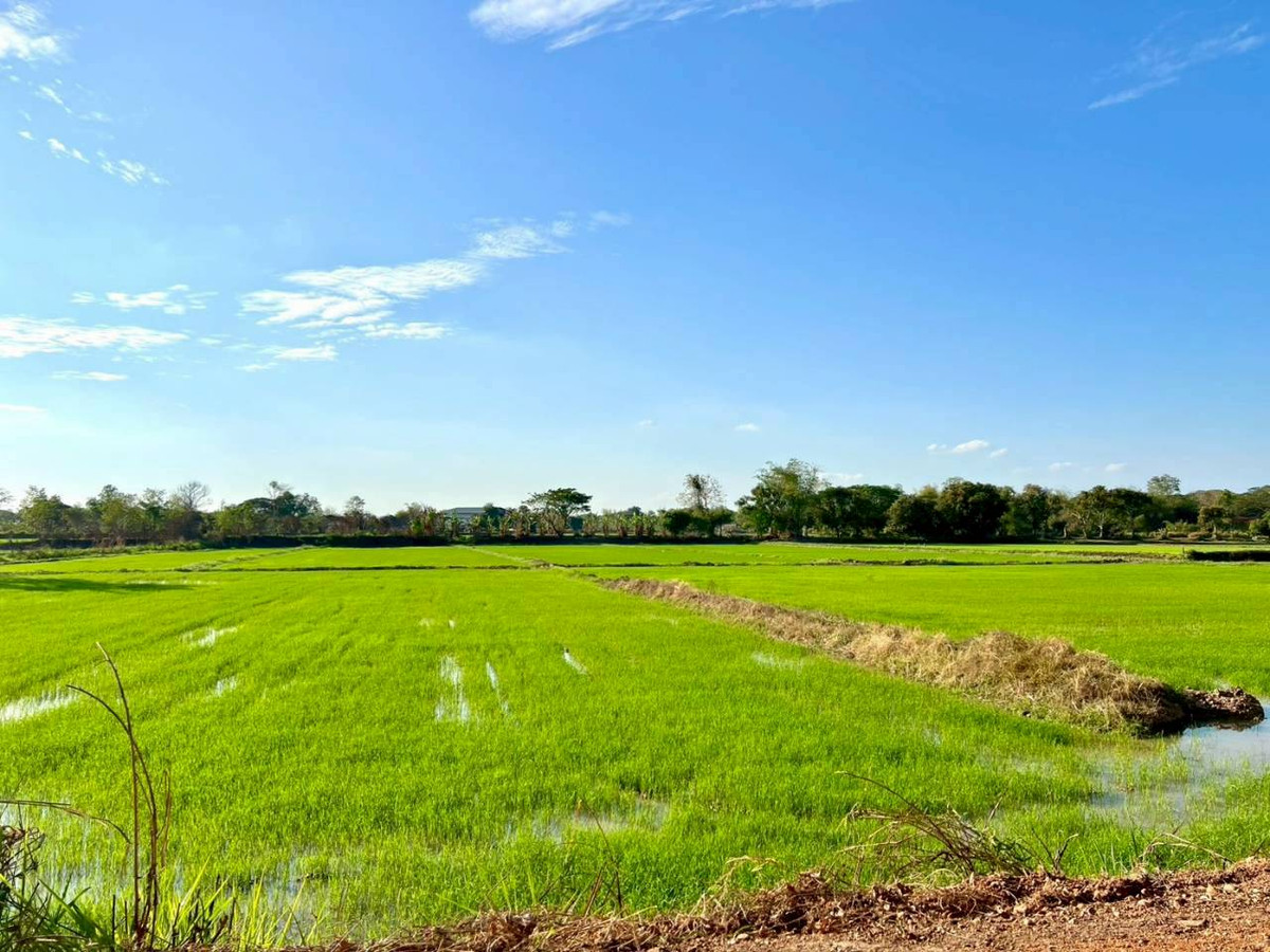 ขายที่ดินมหาสารคาม :  ขายที่ดิน เนื้อที่ 12 ไร่ 2 งาน 30 ตารางวา  ตำบลสำราญ อำเภอเมือง จังหวัดขอนแก่น