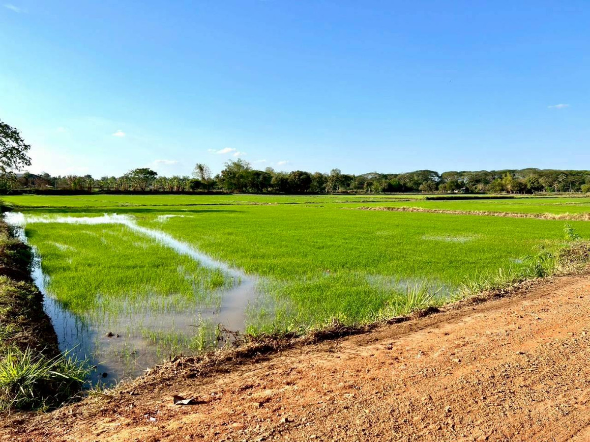 ขายที่ดินมหาสารคาม :  ขายที่ดิน เนื้อที่ 12 ไร่ 2 งาน 30 ตารางวา  ตำบลสำราญ อำเภอเมือง จังหวัดขอนแก่น