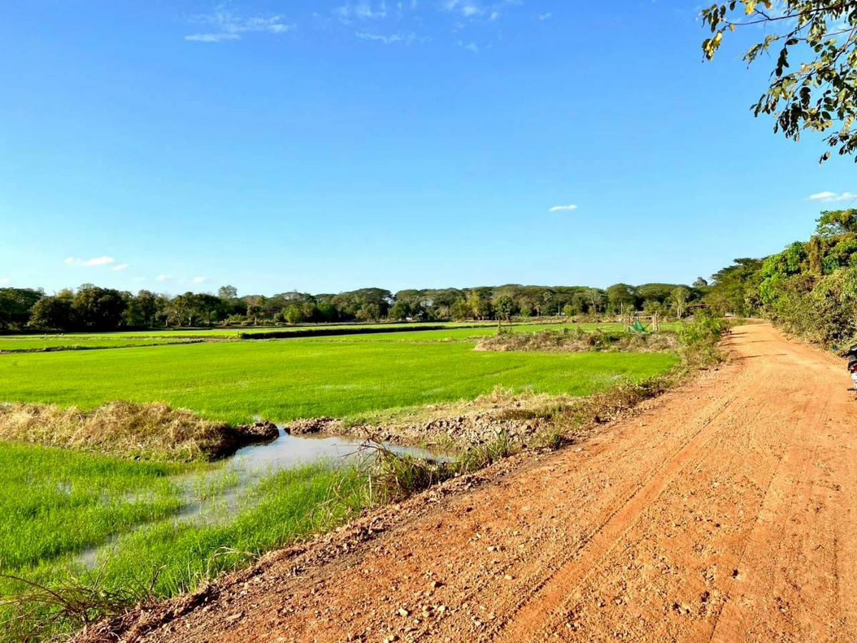 ขายที่ดินมหาสารคาม :  ขายที่ดิน เนื้อที่ 12 ไร่ 2 งาน 30 ตารางวา  ตำบลสำราญ อำเภอเมือง จังหวัดขอนแก่น