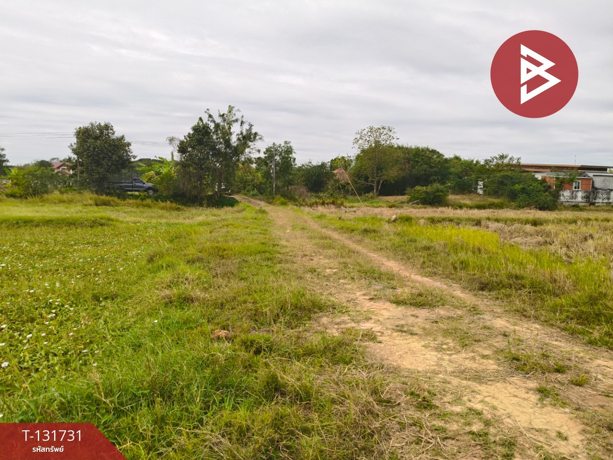 For SaleLandSurin : Land for sale, area 2 rai 1 ngan 81 sq m, Kae Yai, Surin.