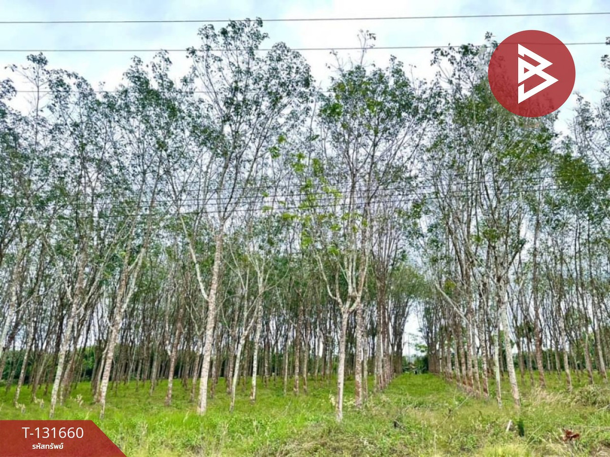 ขายที่ดินจันทบุรี : ขายที่ดิน เนื้อที่ 8 ไร่ 1 งาน 77 ตร.วา มะขาม จันทบุรี