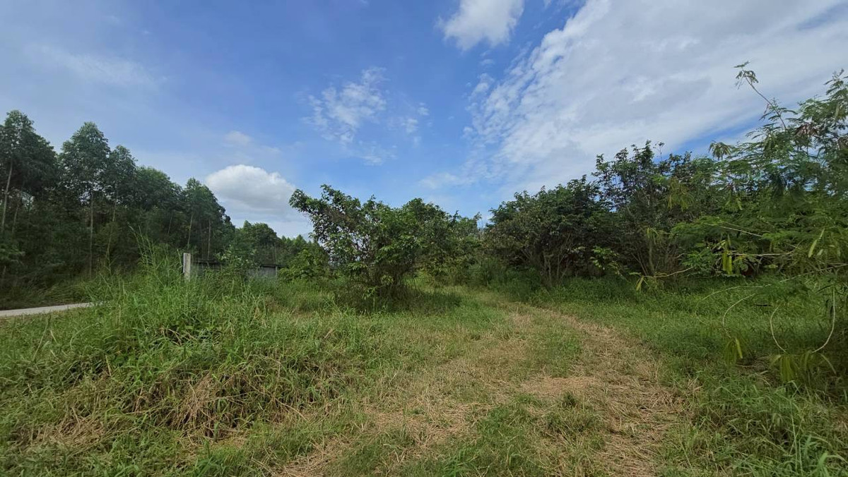 For SaleLandPattaya, Bangsaen, Chonburi : Land for sale, Ban Bueng, Chonburi, 5 rai 1 ngan 46 sq m, good location, suitable for investment.
