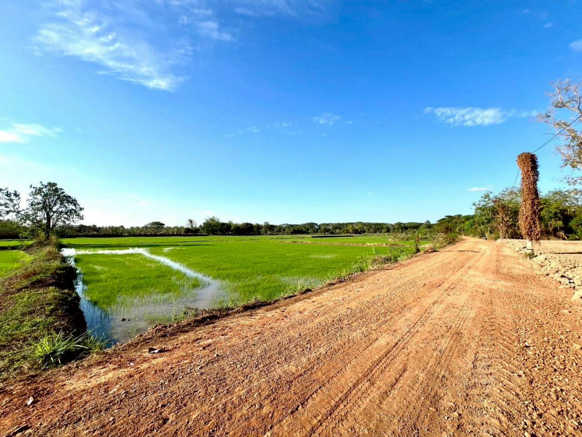 ขายที่ดินมหาสารคาม :  ขายที่ดิน เนื้อที่ 12 ไร่ 2 งาน 30 ตารางวา  ตำบลสำราญ อำเภอเมือง จังหวัดขอนแก่น