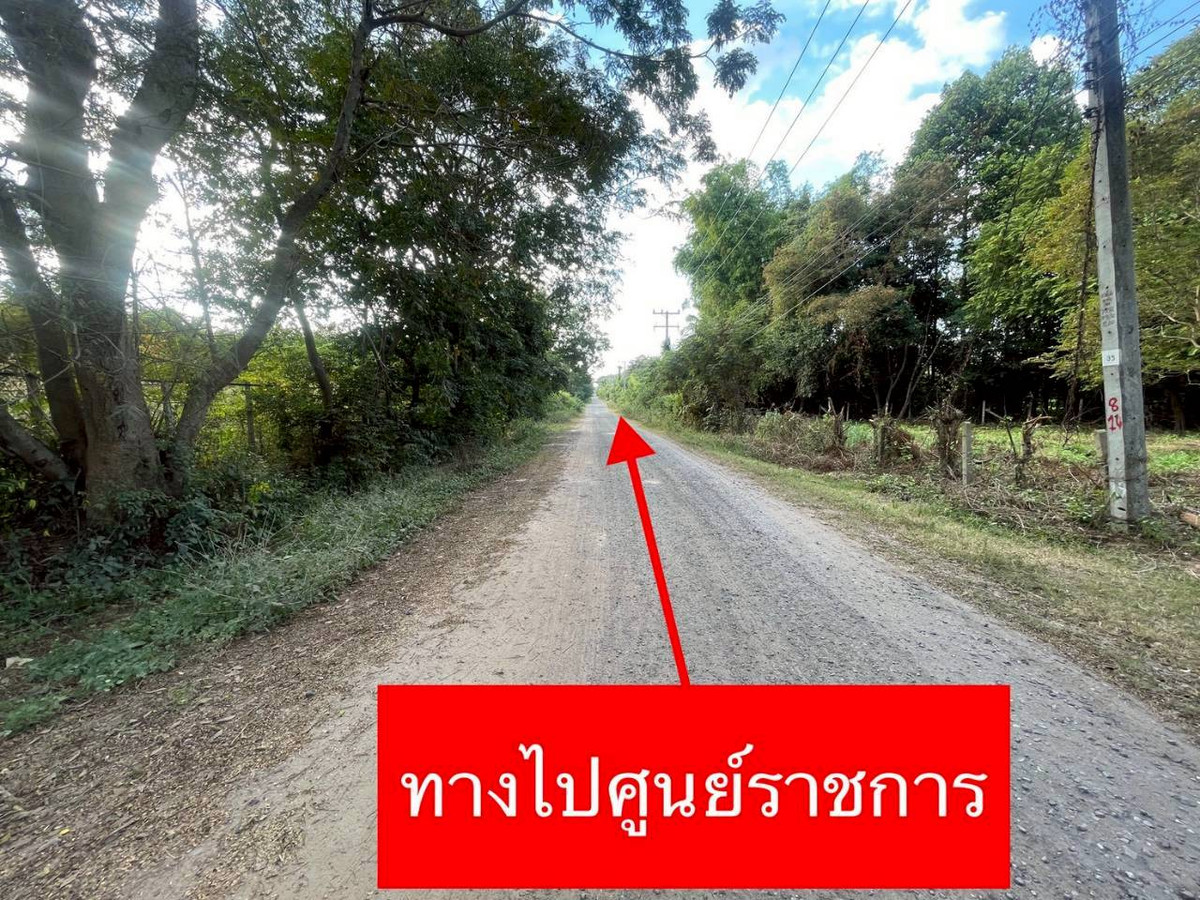 ขายที่ดินมหาสารคาม : ขายที่ดิน เนื้อที่ 12 ไร่ 2 งาน 65 ตารางวา ตำบลแวงน่าง อำเภอเมือง จังหวัดมหาสารคาม