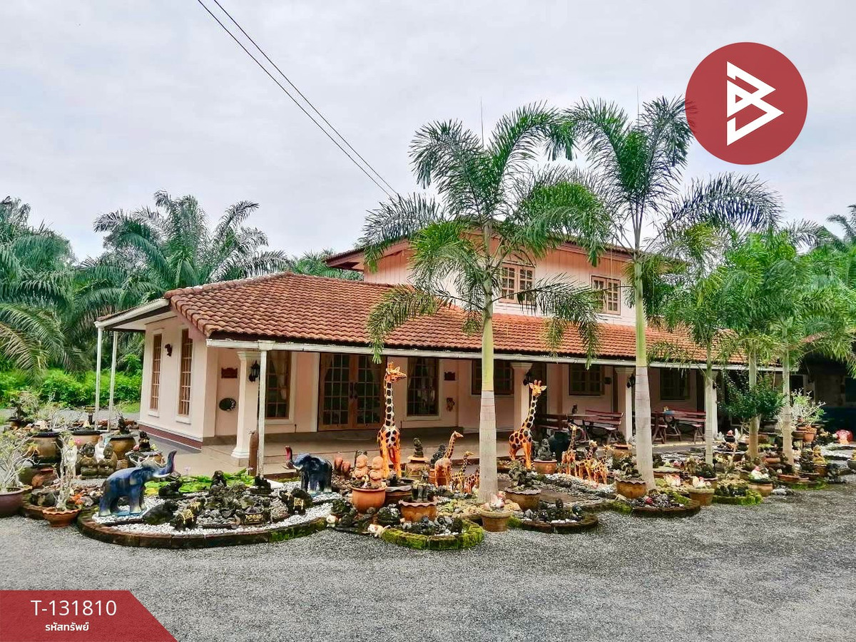 For SaleLandChumphon : Oil palm plantation land for sale with buildings, area 13 rai 91 square wah, Sap Anan Subdistrict, Tha Sae District, Chumphon Province.