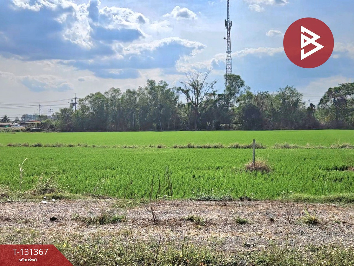 ขายที่ดินนครนายก : ขายที่ดิน เนื้อที่ 6 ไร่ 3 งาน 0.2 ตร.วา ปากพลี นครนายก