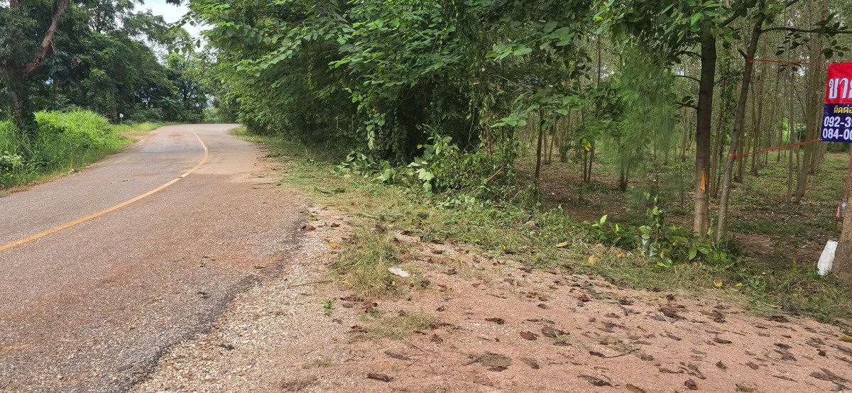 ขายที่ดินกำแพงเพชร : ที่ดินเปล่าถมแล้ว เนื้อที่ 10 ไร่ 1 งาน 14 ตร.ว. ถนนพหลโยธิน ต.ลานดอกไม้ตก อ.โกสัมพีนคร จ.กำแพงเพชร