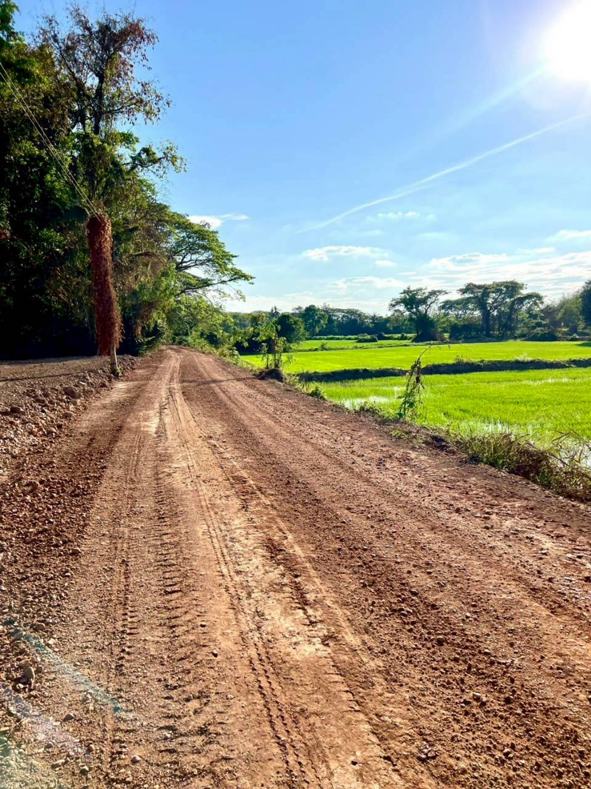 ขายที่ดินมหาสารคาม :  ขายที่ดิน เนื้อที่ 12 ไร่ 2 งาน 30 ตารางวา  ตำบลสำราญ อำเภอเมือง จังหวัดขอนแก่น