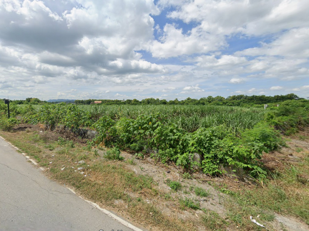 For SaleLandSaraburi : 15.5-Rai Land for Sale Near Pa Sak Dam, Saraburi – Leveled, Road Access, Great for Resort, Warehouse or Investment Project