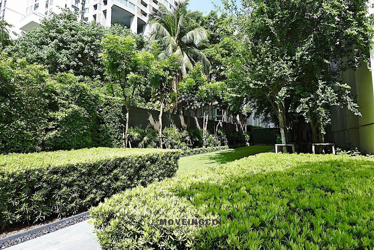 ให้เช่าคอนโดสุขุมวิท อโศก ทองหล่อ : คอนโด 1 นอน พร้อมอยู่ ใกล้ Emquatier, ตึกภิรัช และรถไฟฟ้า