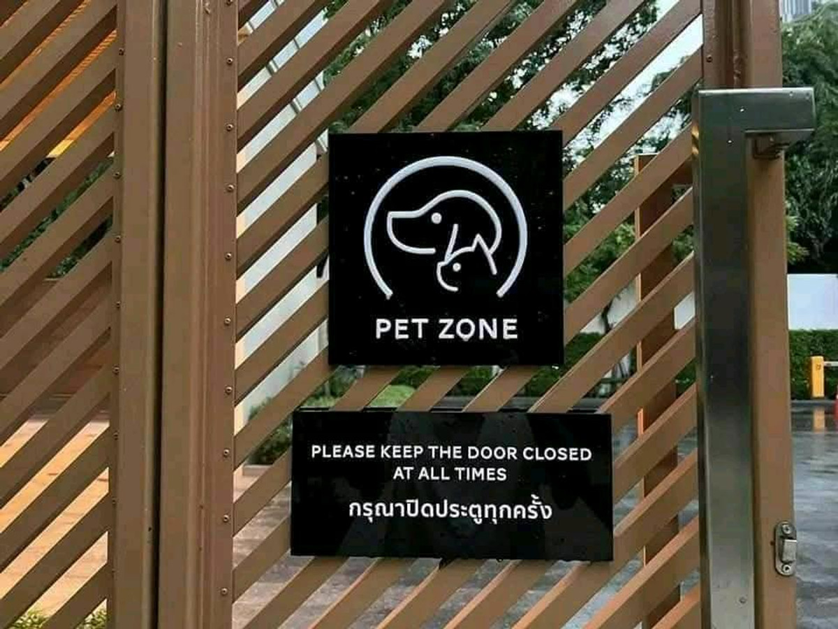 ให้เช่าคอนโดสุขุมวิท อโศก ทองหล่อ : 💫💫🐱🐶 New and Modern Pet Friendly Condo near BTS Ekkamai 