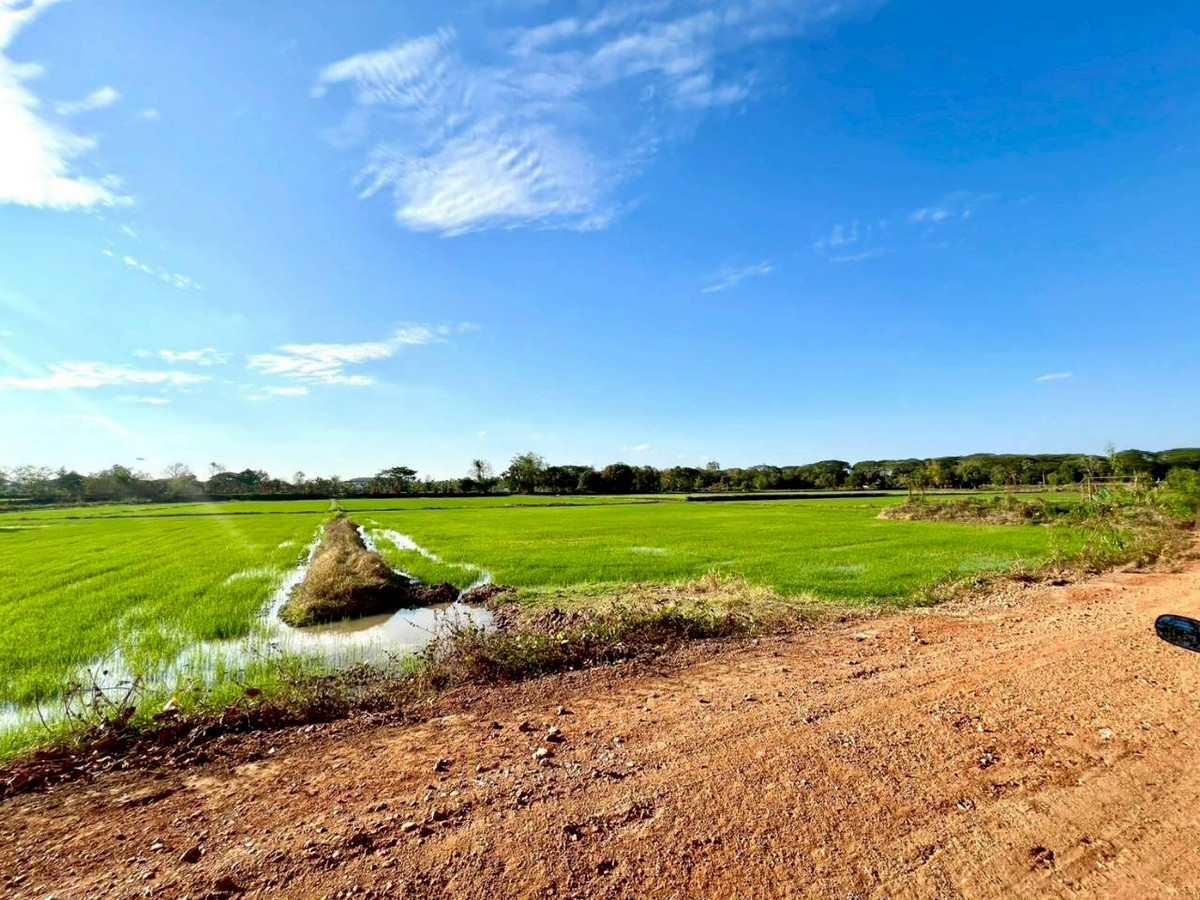 For SaleLandMaha Sarakham : Land for sale, area 12 rai 2 ngan 30 square wah, Samran Subdistrict, Mueang District, Khon Kaen Province.