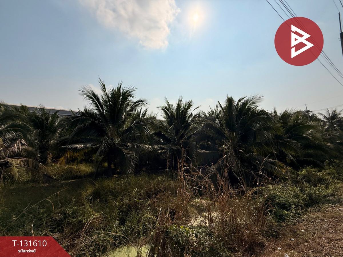 For SaleLandPathum Thani,Rangsit, Thammasat : Land for sale, area 1 rai 2 ngan 49 sq m, Lat Lum Kaeo, Pathum Thani.