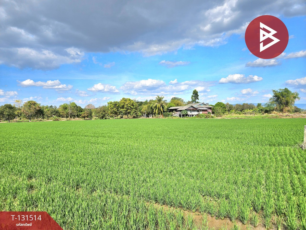 ขายที่ดินนครนายก : ขายที่ดิน เนื้อที่ 6 ไร่ 90 ตร.วา ปากพลี นครนายก