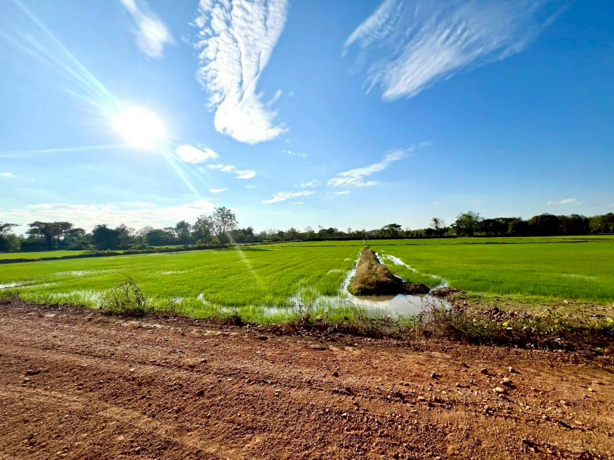 ขายที่ดินมหาสารคาม :  ขายที่ดิน เนื้อที่ 12 ไร่ 2 งาน 30 ตารางวา  ตำบลสำราญ อำเภอเมือง จังหวัดขอนแก่น