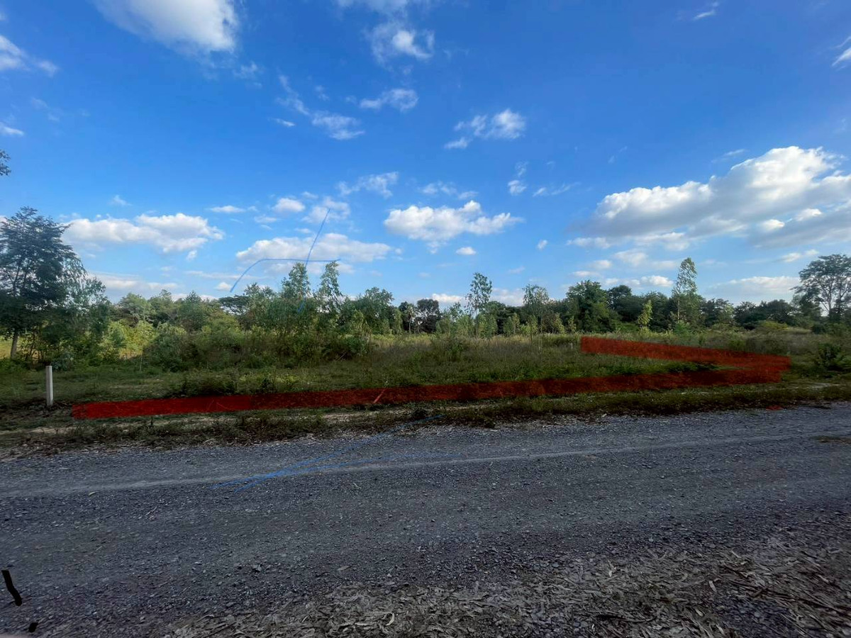 ขายที่ดินมหาสารคาม : ขายที่ดิน เนื้อที่ 12 ไร่ 2 งาน 65 ตารางวา ตำบลแวงน่าง อำเภอเมือง จังหวัดมหาสารคาม