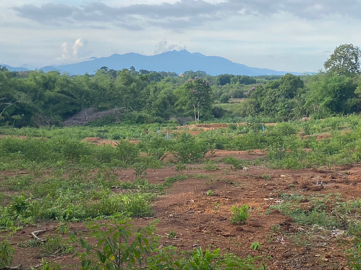 ขายที่ดินจันทบุรี : ขาย!!! ที่ดินสวย ทำเลศักยภาพ ใจกลางเมือง..หลังค่ายตากสิน..จันทบุรี เนื้อที่ 14 ไร่เศษ