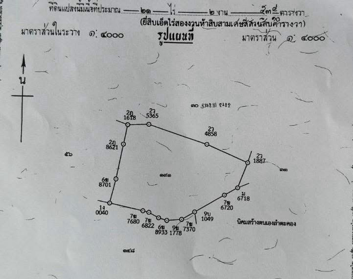 ขายที่ดินปากช่อง เขาใหญ่ : ขายทึ่ดินเนินเขา ราถาถูกที่สุด