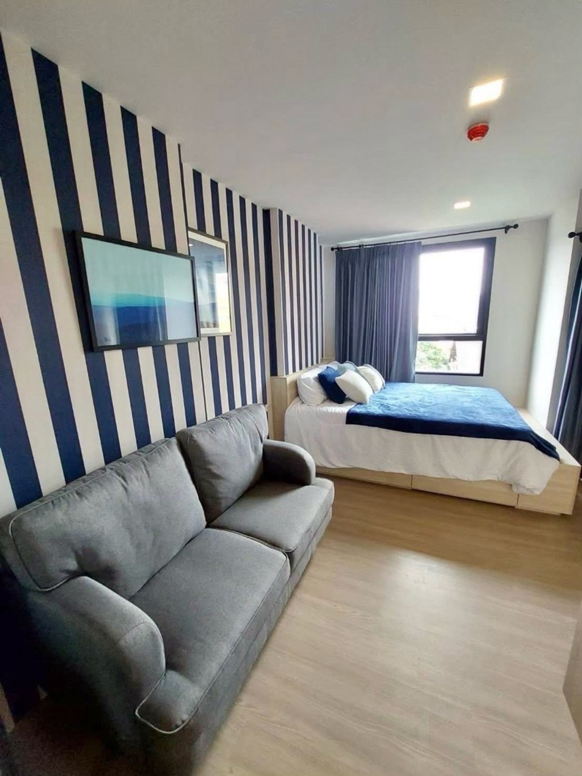 ให้เช่าคอนโดเกษตรศาสตร์ รัชโยธิน : 📍 โครงการ : The Muve Kaset (เดอะ มูฟ เกษตร)
🚝 ใกล้ : มหาวิทยาลัยเกษตรศาสตร์ 700 เมตร
🔺พิเศษ • 12,000 บาท / เดือน (สัญญา 2 ปี)
💵 ราคาเช่า : 13,000 บาท / เดือน (สัญญา1ปี)