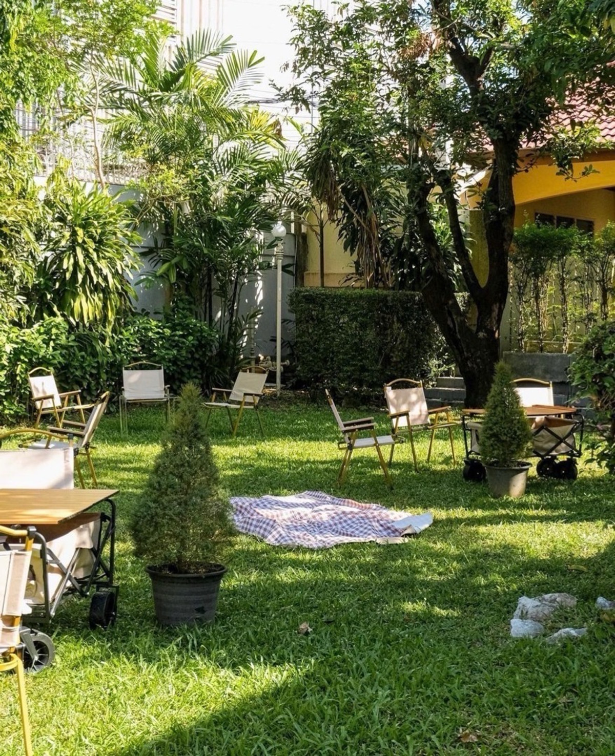 ให้เช่าร้านค้า/ตลาดนัดอ่อนนุช อุดมสุข : บ้านเช่า 200 ตารางวา ทำธุรกิจ @ สุขุมวิท 62 แขวง พระโขนงใต้ จอดรถได้ 6 คัน จดทะเบียนบริษัท หรือรีโนเวททำธุรกิจได้