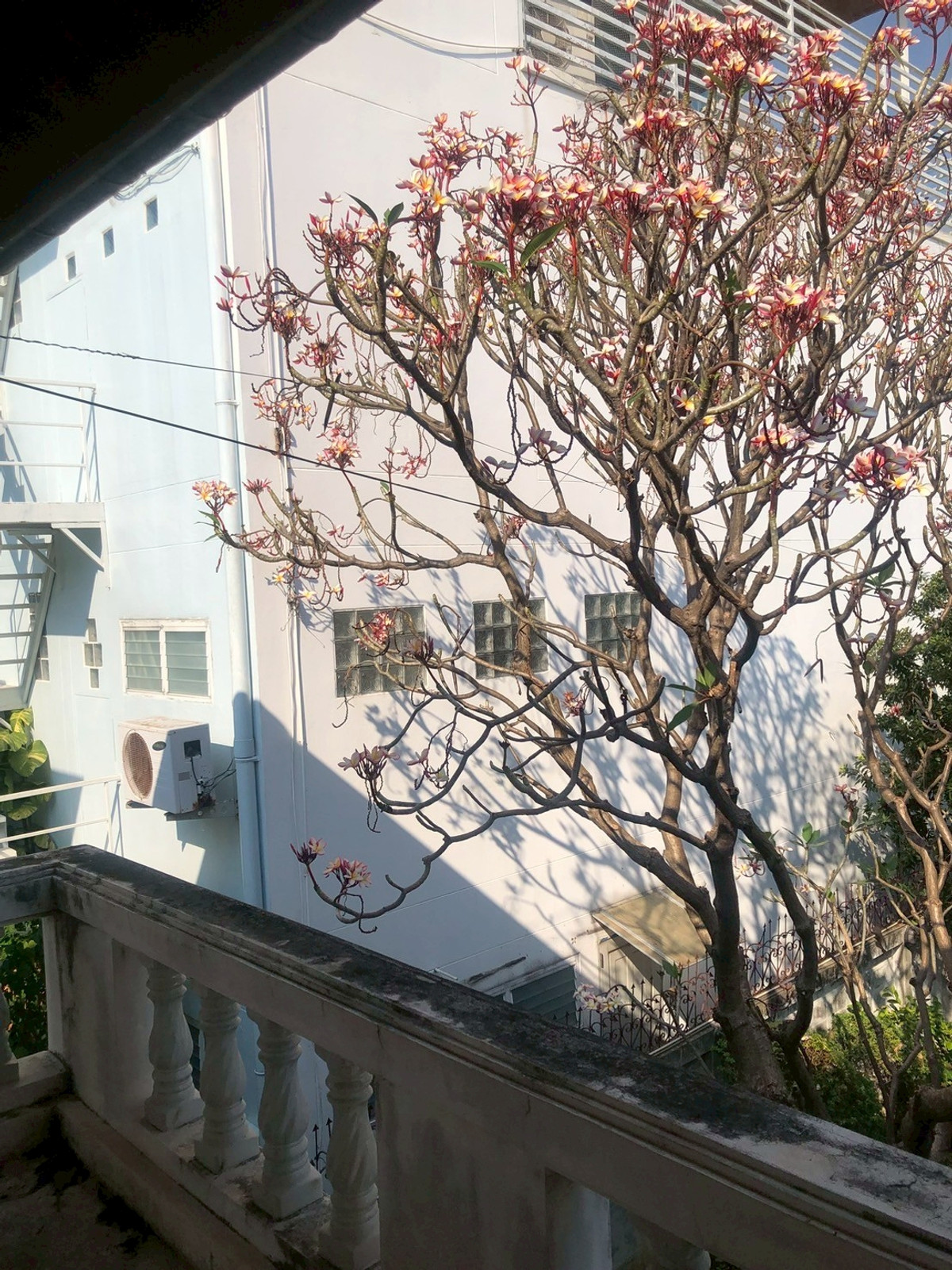 For SaleHouseBang Sue, Wong Sawang, Tao Pun : 95775 - Rare detached house for sale, Prachachuen, Bang Khen Fang Tai, Bang Sue, Bangkok, area 109 sq m. Renovated a little, looks luxurious and comfortable.