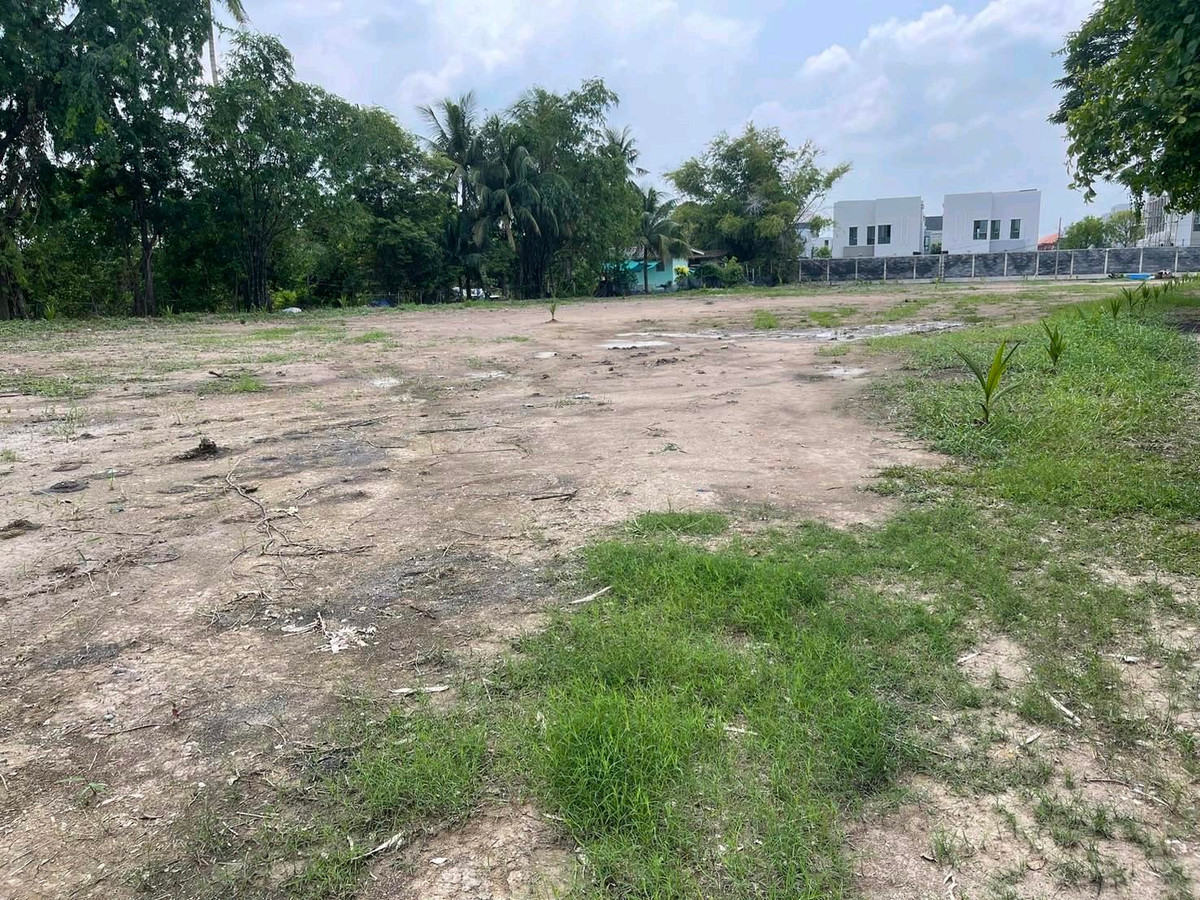 ขายที่ดินพระราม 5 ราชพฤกษ์ บางกรวย : ขายที่ดิน วัดชลอ บางกรวย