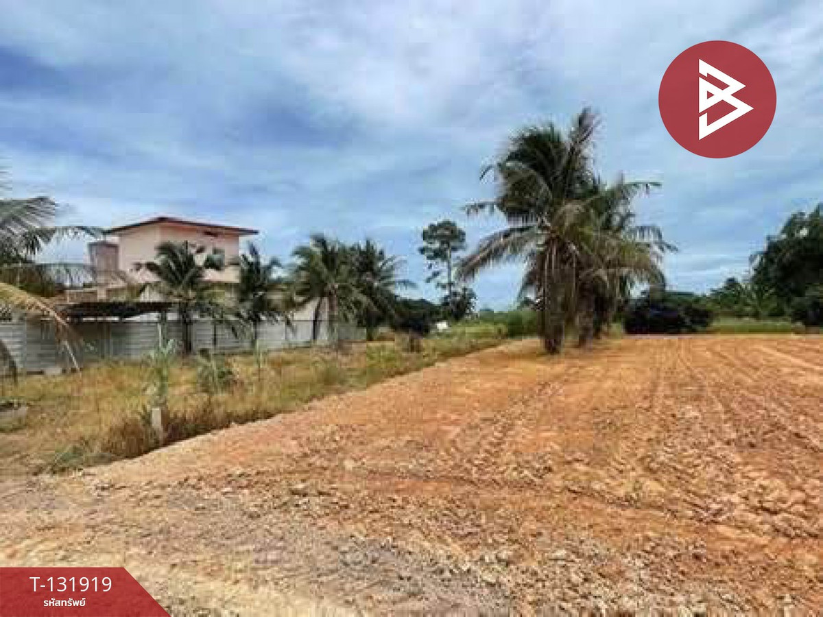 ขายที่ดินระยอง : ขายที่ดิน เนื้อที่ 100 ตารางวา ต.นาตาขวัญ ระยอง