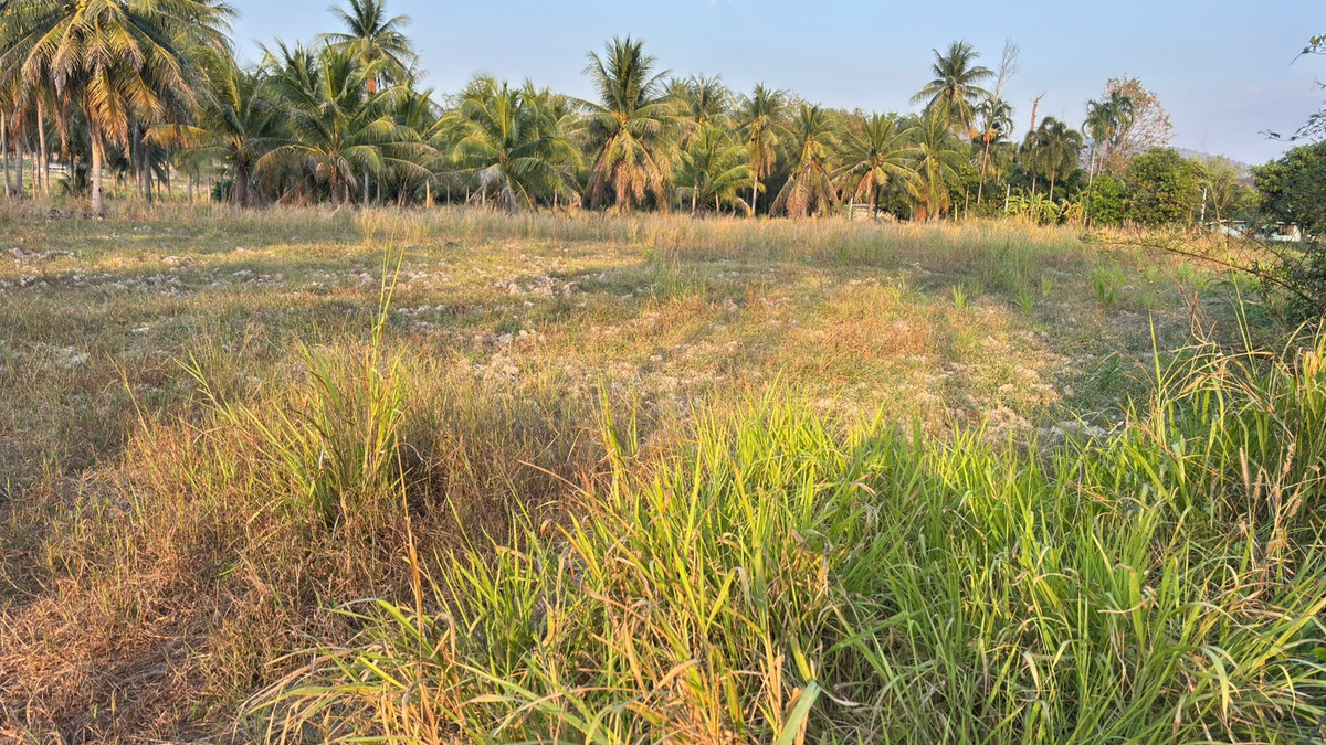 ให้เช่าที่ดินพัทยา บางแสน ชลบุรี สัตหีบ : ที่ดิน 25 ไร่ เขาเขียว บางพระ ชลบุรี / (เช่า), Land 25 rai Khao Khiao Bang Phra Chonburi / (FOR RENT) YEAN092