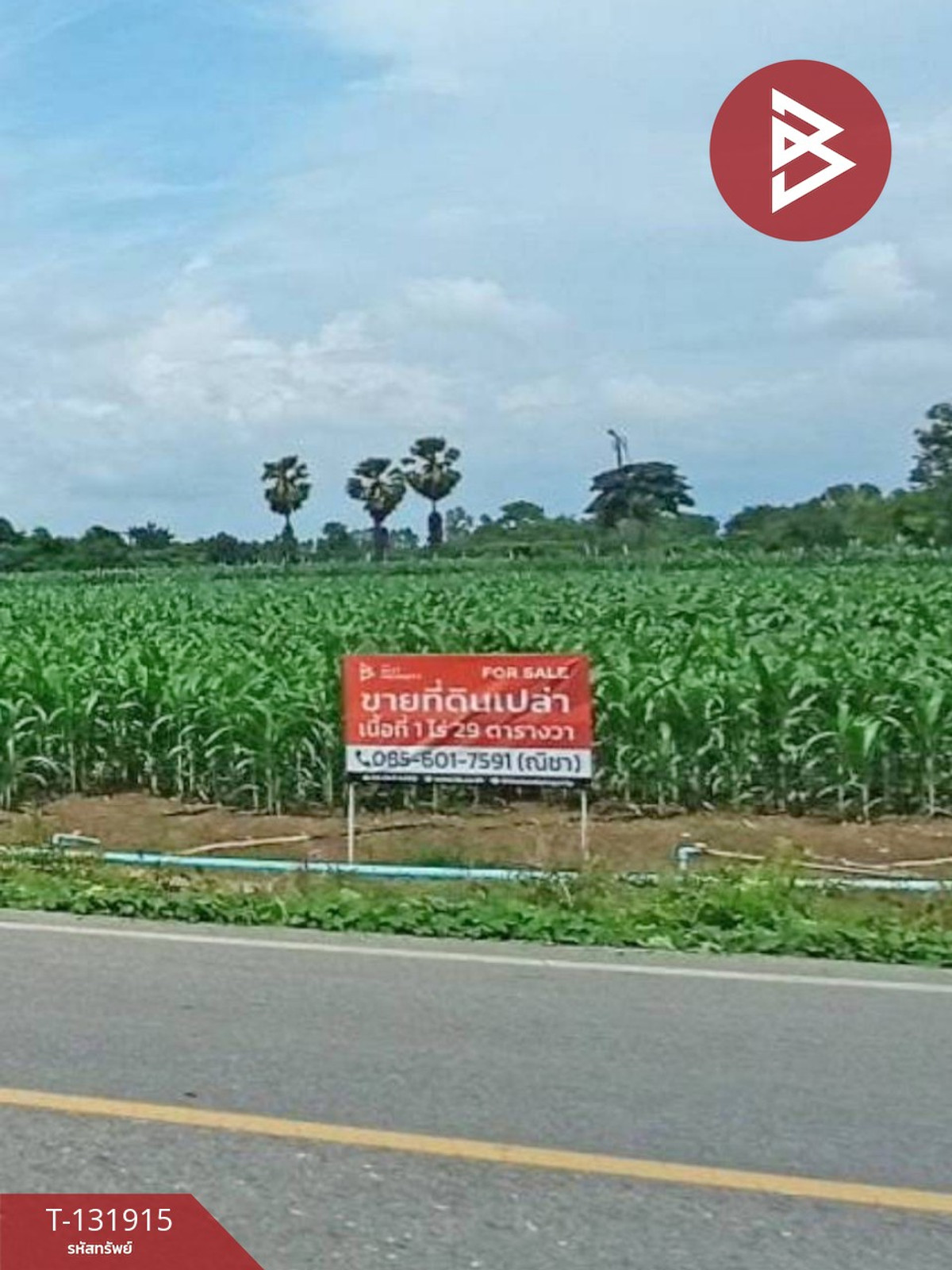 For SaleLandPhitsanulok : Land for sale, area 1 rai 29 sq m, Bueng Phra, Phitsanulok.