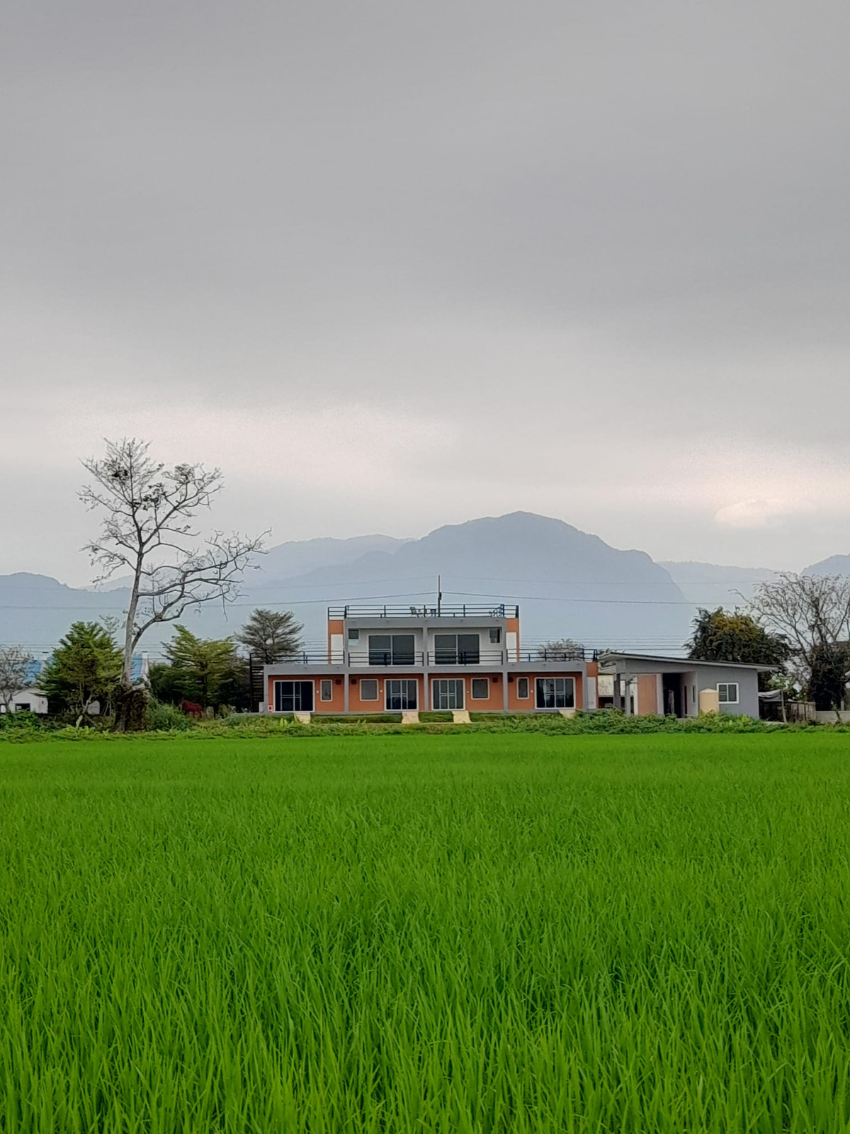 For SaleChiang Rai : Villa for sale, fully furnished, ready to move in or open a resort business in the Huai Krai-Mae Sai location, Chiang Rai.