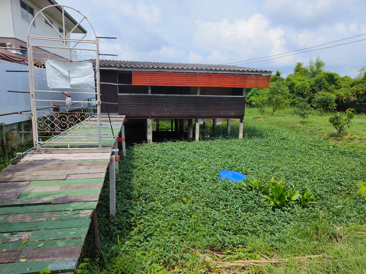 ขายบ้านนครปฐม : บ้านไม้เก่า ติดถนนเหมาะค้าขาย,ร้านอาหาร,ร้านคาเฟ่ ใกล้พุทธมณฑลสาย 7 